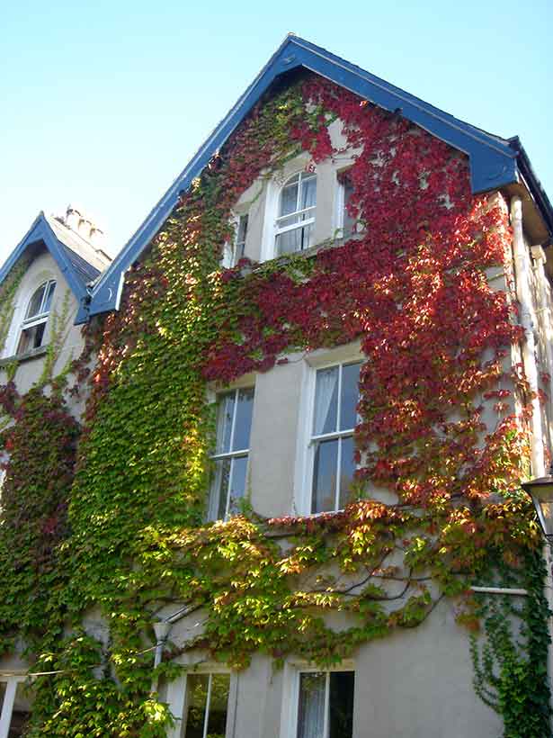 Theatre Digs Home away from home near the theatres in